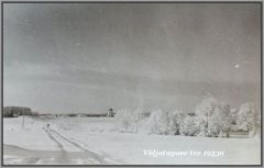 1953´
