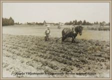 1953