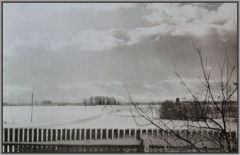 Väljataguse. 1954