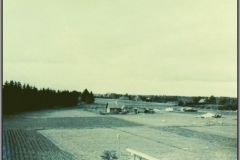 Väljataguse. 1956