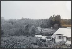 Telliskivi ja Kuuse tänav